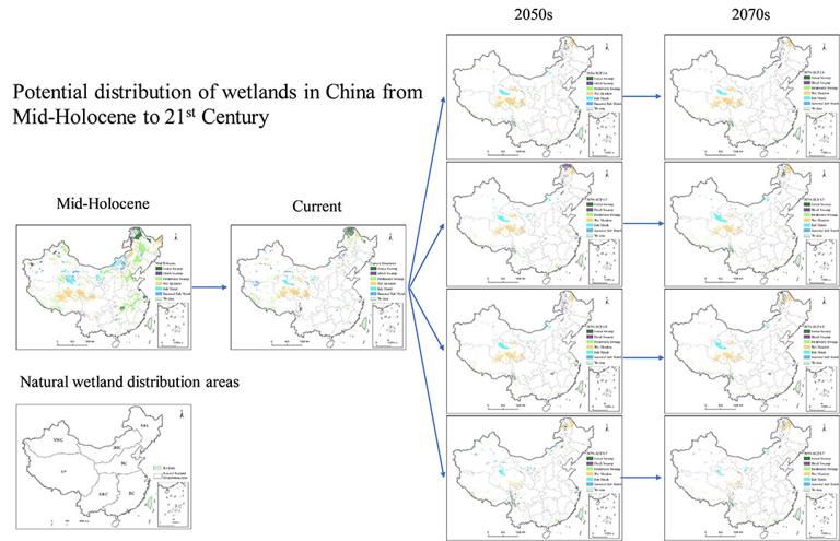 Wetland Distribution Dataset
